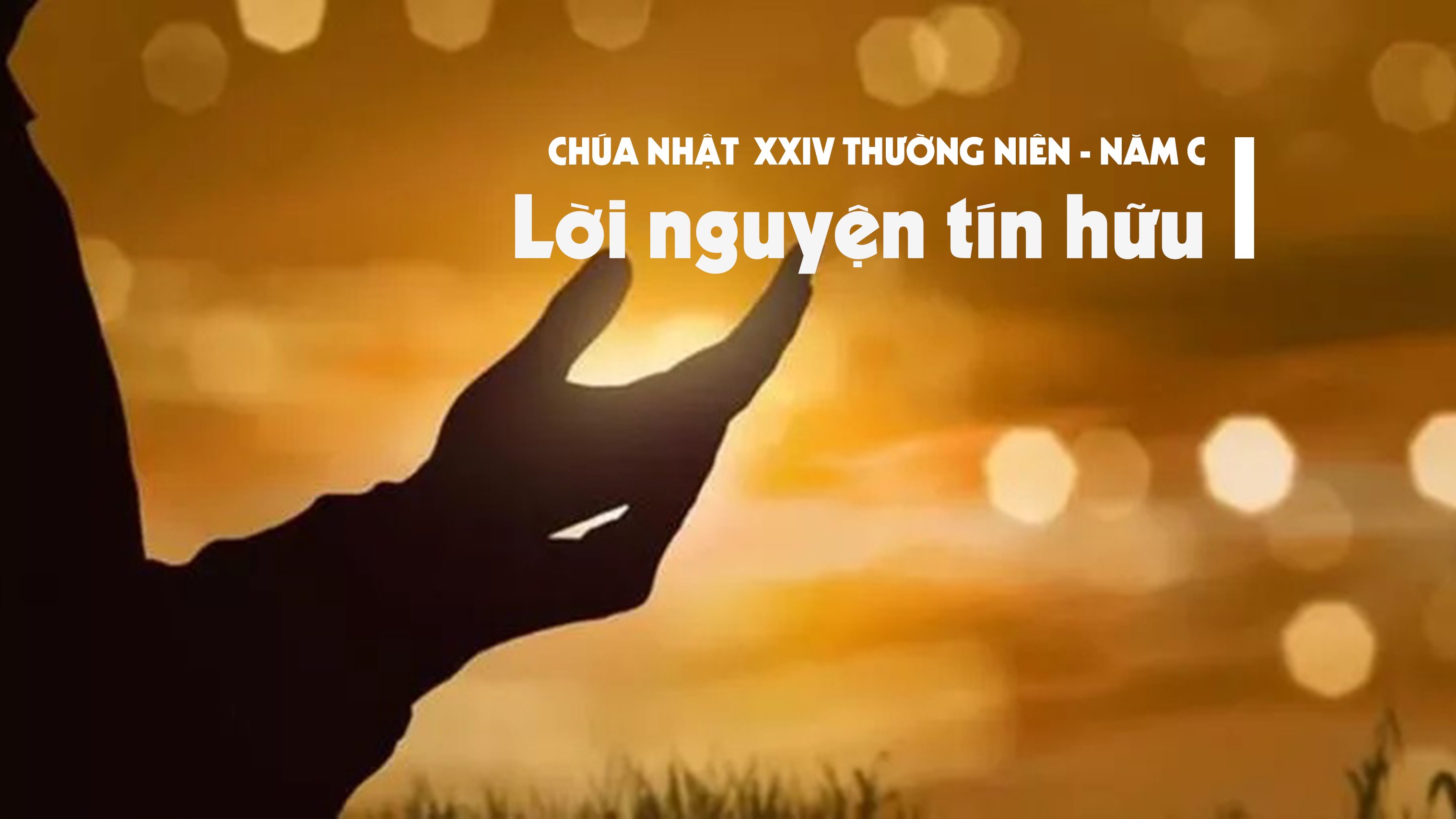 Lời nguyện tín hữu - Chúa nhật XXIV thường niên - năm C